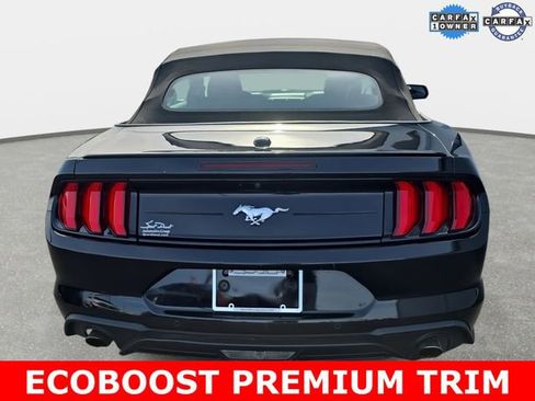 Used 2023 Ford Mustang Premium image 4