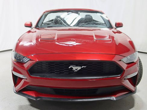 Used 2019 Ford Mustang Premium w/ Equipment Group 201A image 9