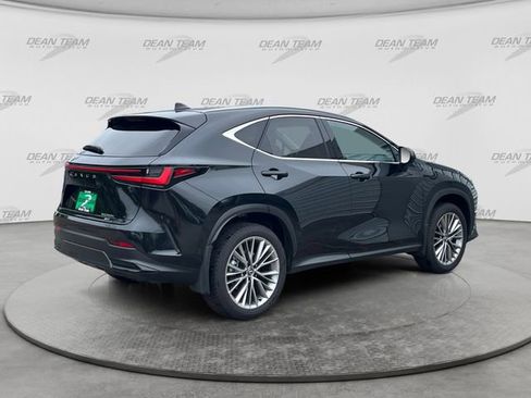 Used 2025 Lexus NX 350h AWD w/ Luxury Package image 7
