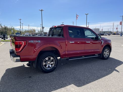 Used 2021 Ford F150 XLT w/ Equipment Group 302A High AWD/4WD image 3
