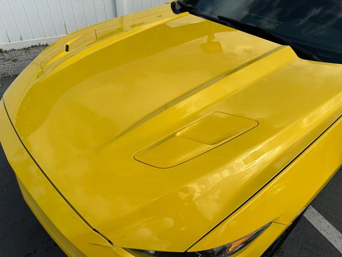 Used 2016 Ford Mustang GT Premium w/ Equipment Group 401A image 14