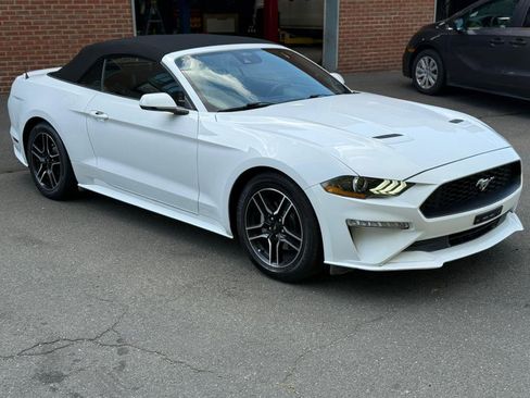 Used 2022 Ford Mustang Premium w/ Equipment Group 201A image 16