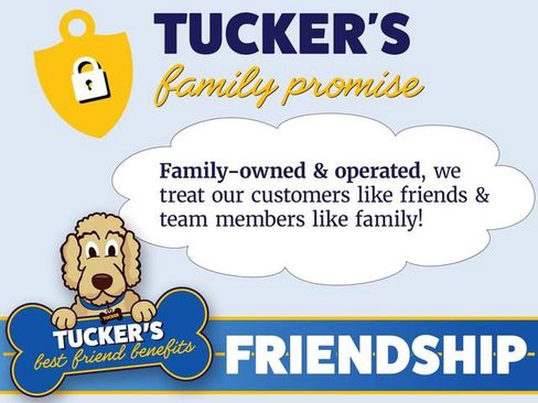 Used 2025 Subaru Crosstrek 2.0i Premium AWD/4WD image 15