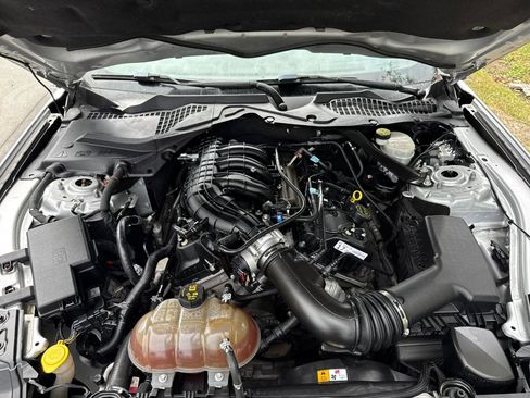 Used 2017 Ford Mustang Convertible w/ Equipment Group 051A RWD image 6