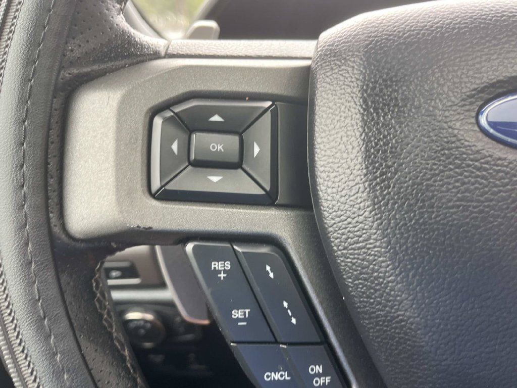 Used 2019 Ford F150 Raptor AWD/4WD image 32