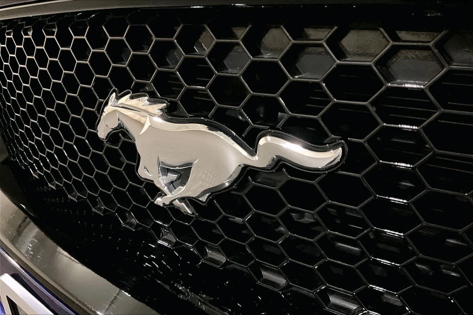 Used 2019 Ford Mustang GT Premium w/ Equipment Group 401A RWD image 9