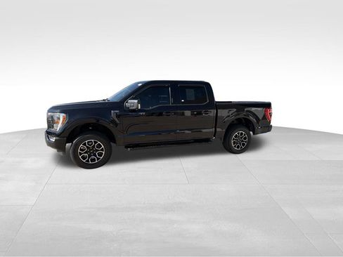 Used 2023 Ford F150 XLT w/ Equipment Group 302A High AWD/4WD image 5