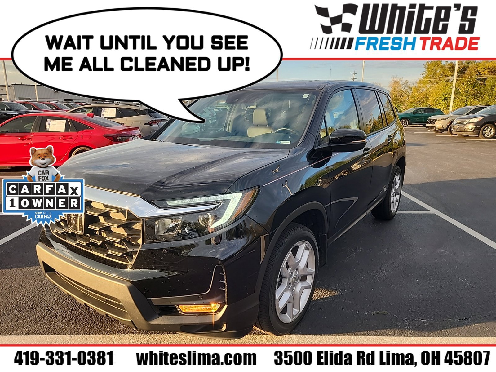 Used 2025 Honda Passport EX-L image 1