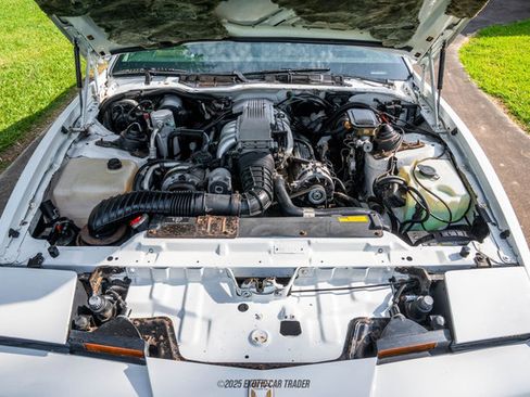 Used 1989 Pontiac Firebird Trans Am RWD image 15