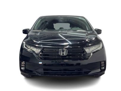Used 2023 Honda Odyssey Sport
