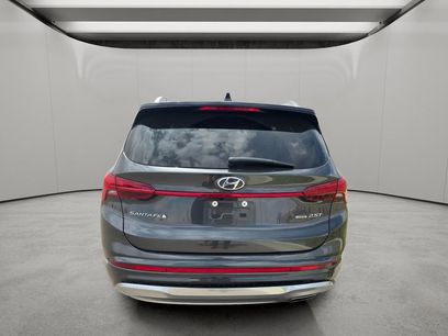 Used 2023 Hyundai Santa Fe Calligraphy