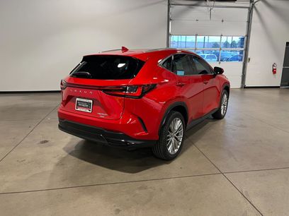 Used 2025 Lexus NX 300h NX 350h Luxury