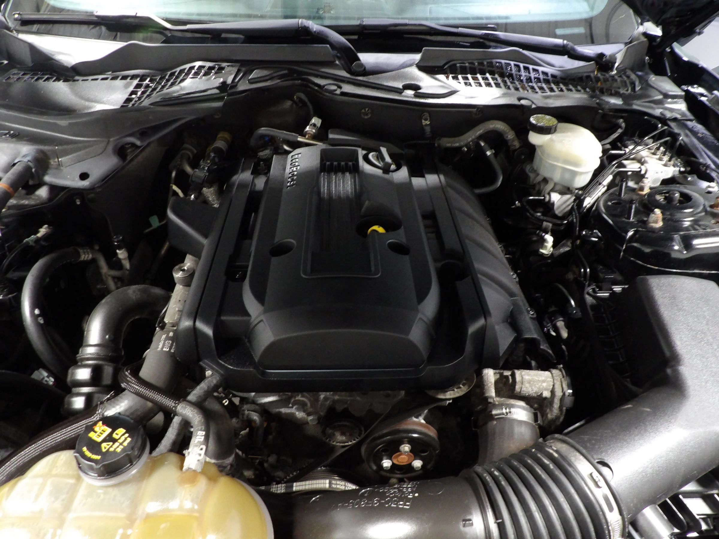 Used 2015 Ford Mustang Coupe RWD image 15