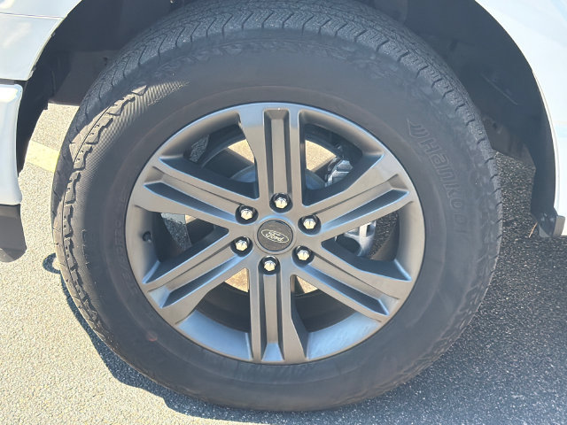 Used 2023 Ford F150 XLT w/ Equipment Group 302A High AWD/4WD image 13