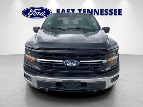 Used 2025 Ford F150 XLT w/ Equipment Group 301A Standard AWD/4WD image 9