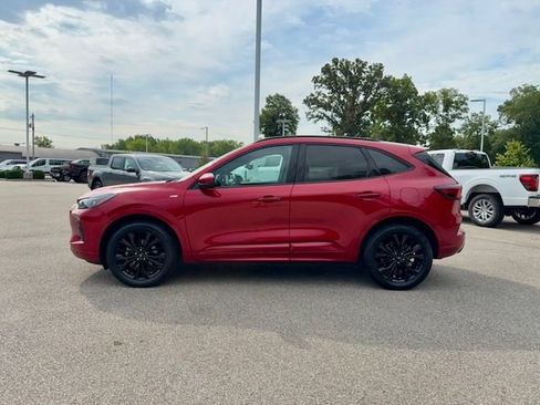 Used 2024 Ford Escape ST-Line Elite w/ Premium Technology Package AWD/4WD image 4