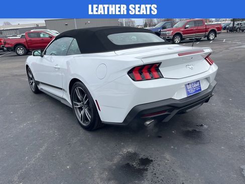 Used 2025 Ford Mustang Premium w/ Wheel & Stripe Package image 6