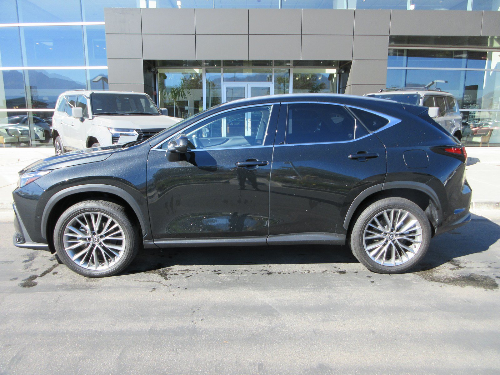 Used 2024 Lexus NX 350h AWD w/ Vision Package image 3