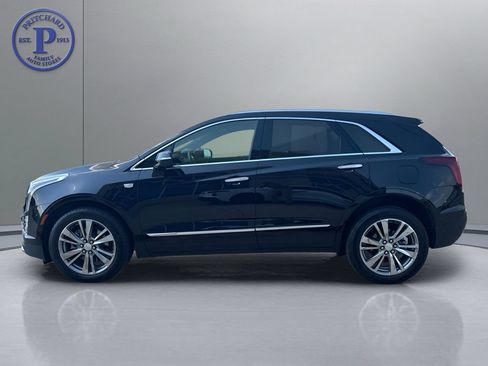Used 2025 Cadillac XT5 Premium Luxury w/ Technology Package AWD/4WD image 4