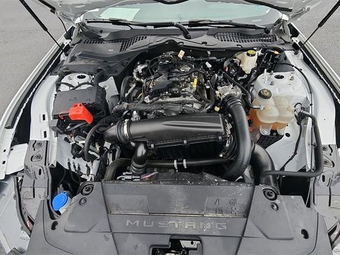 Used 2024 Ford Mustang Coupe image 29