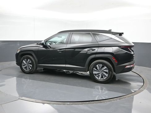 Used 2023 Hyundai Tucson Blue image 3