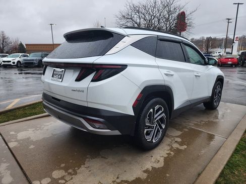 Used 2025 Hyundai Tucson Limited image 5