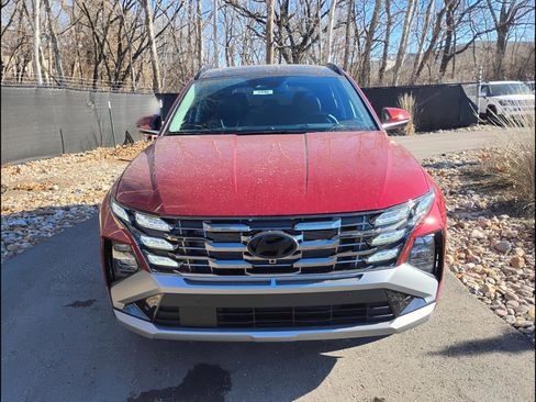 New 2026 Hyundai Tucson Limited AWD/4WD image 8