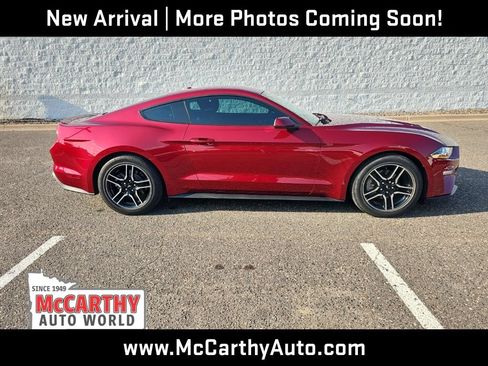 Used 2019 Ford Mustang Coupe w/ Equipment Group 101A RWD image 2