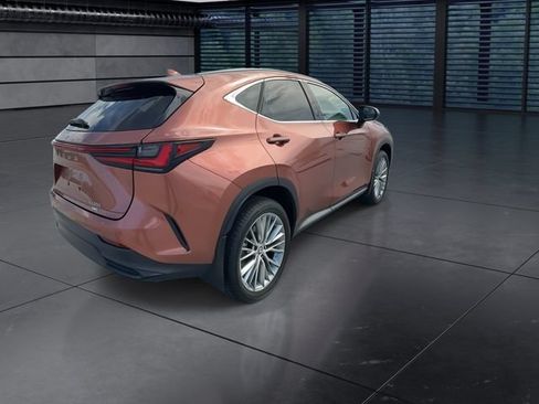 Used 2025 Lexus NX 350 AWD w/ Cold Area Package image 8