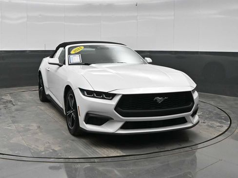 Used 2024 Ford Mustang Premium RWD image 2