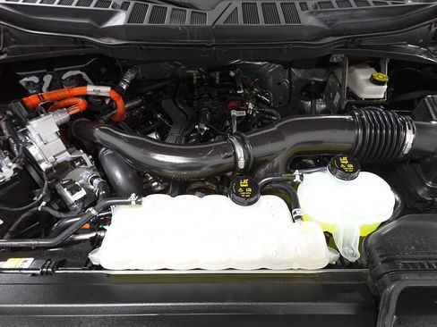 Used 2025 Ford F150 XLT w/ Equipment Group 301A Standard image 29