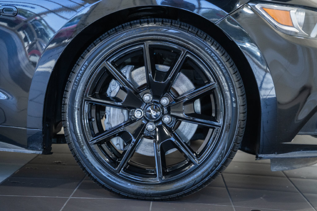 Used 2017 Ford Mustang GT Premium w/ Equipment Group 401A RWD image 15