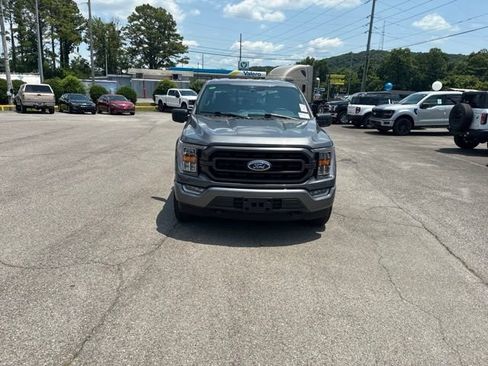 Used 2023 Ford F150 XLT w/ Equipment Group 302A High AWD/4WD image 6