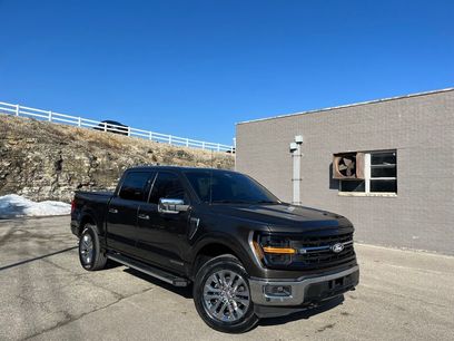 Certified 2024 Ford F150 XLT w/ Equipment Group 303A High