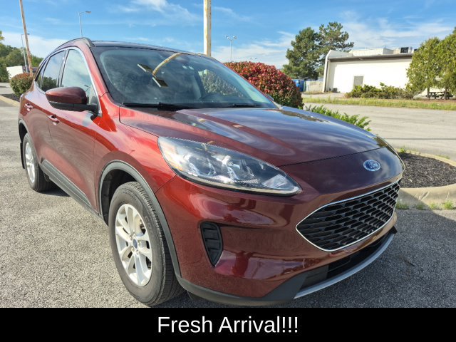 Used 2021 Ford Escape SE w/ Cold Weather Package AWD/4WD image 2