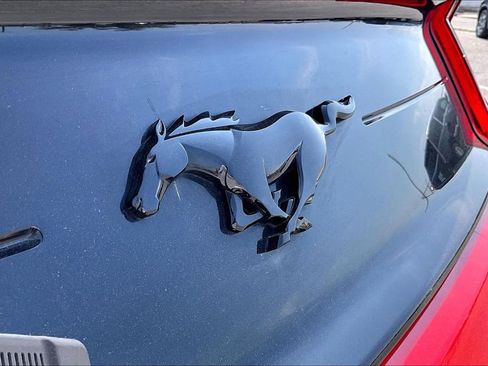 Used 2019 Ford Mustang Coupe w/ Equipment Group 101A image 41