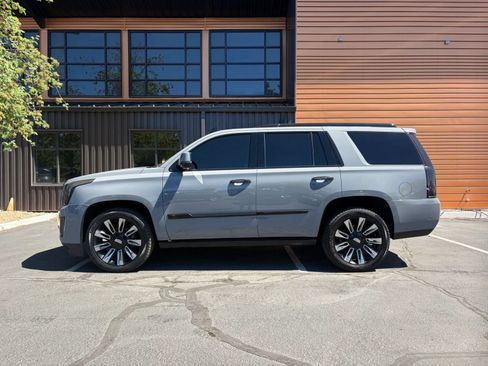 Used 2017 Cadillac Escalade Platinum AWD/4WD image 2