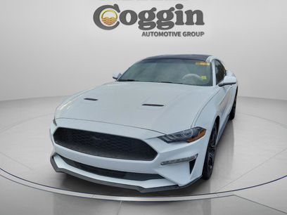 Used 2019 Ford Mustang Coupe w/ Equipment Group 101A