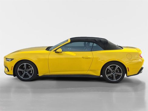 Used 2024 Ford Mustang Premium image 7