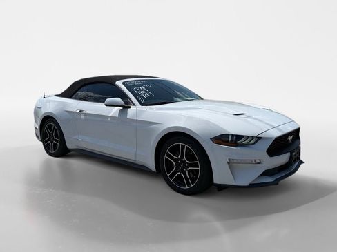 Used 2019 Ford Mustang Premium RWD image 7