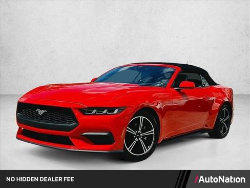 Used 2024 Ford Mustang Premium RWD image 1
