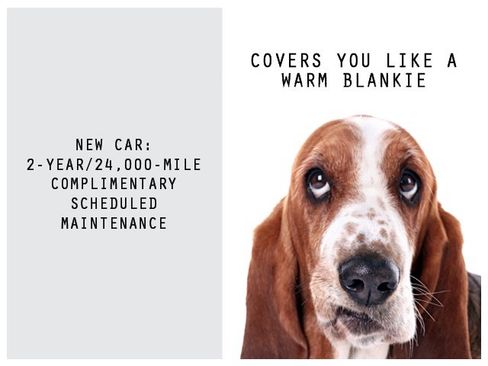 New 2026 Subaru Outback Wilderness AWD/4WD image 3