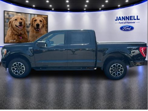 Used 2023 Ford F150 XLT w/ Equipment Group 302A High AWD/4WD image 9