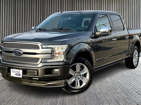 Used 2019 Ford F150 Platinum w/ Equipment Group 701A Luxury image 1