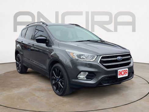 Used 2019 Ford Escape SE FWD image 5