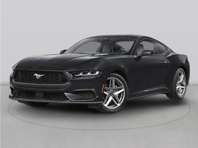 New 2026 Ford Mustang Coupe w/ Mustang Nite Pony Package
