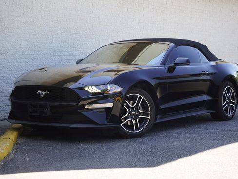 Used 2023 Ford Mustang Premium w/ Equipment Group 201A RWD image 4