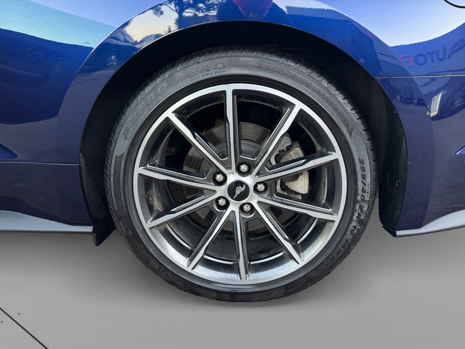 Used 2019 Ford Mustang Premium w/ Equipment Group 201A RWD image 14