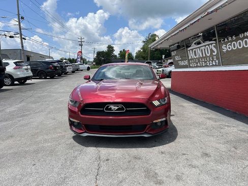 Used 2015 Ford Mustang Premium w/ Equipment Group 201A RWD image 3