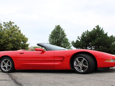 Used 2000 Chevrolet Corvette w/ Memory Pkg image 7